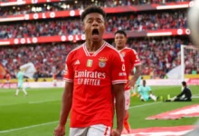 بالفيديو .. مهاجم نابولي يتعرض للسرقة !